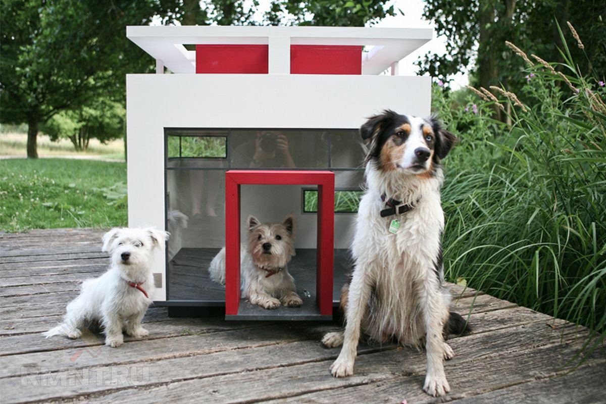 Будки і будиночки для собак